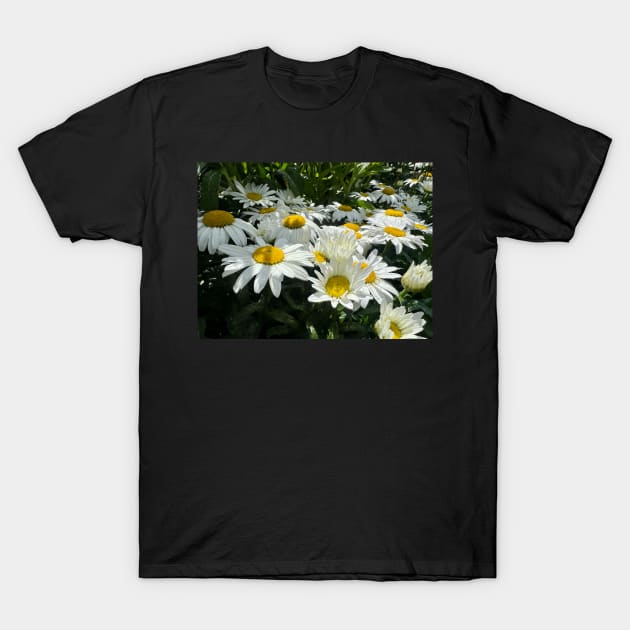 The Daisy Field of All Possibility T-Shirt by Photomersion